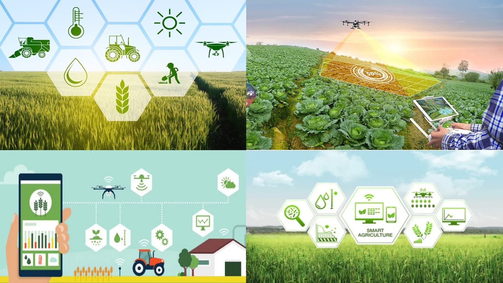 Agricultural Solutions